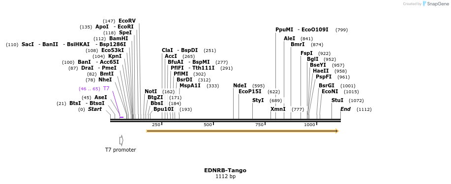 117052_map