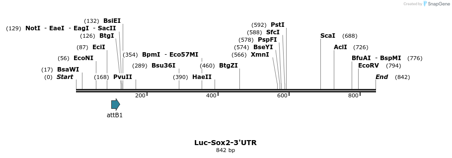 117053_map