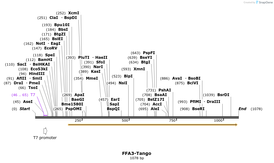 117056_map