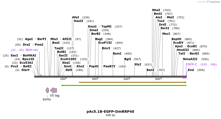 117057_map