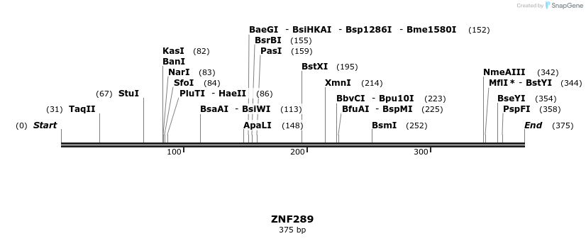 11706_map