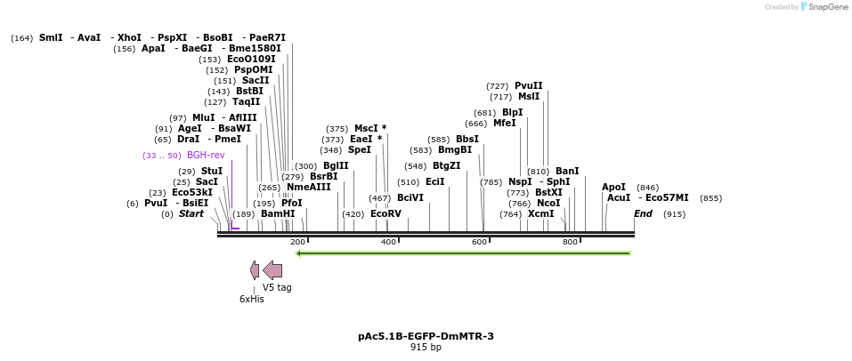 117060_map