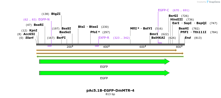 117074_map