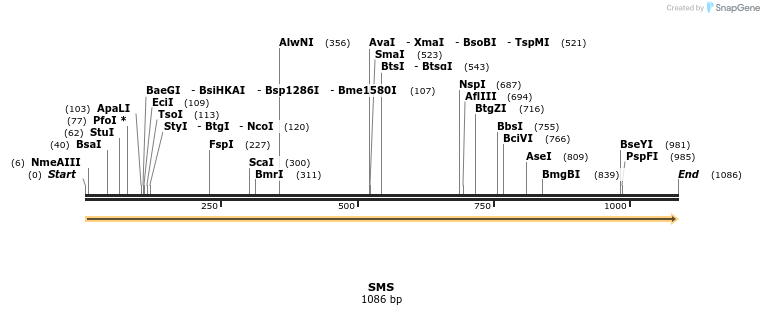 11708_map