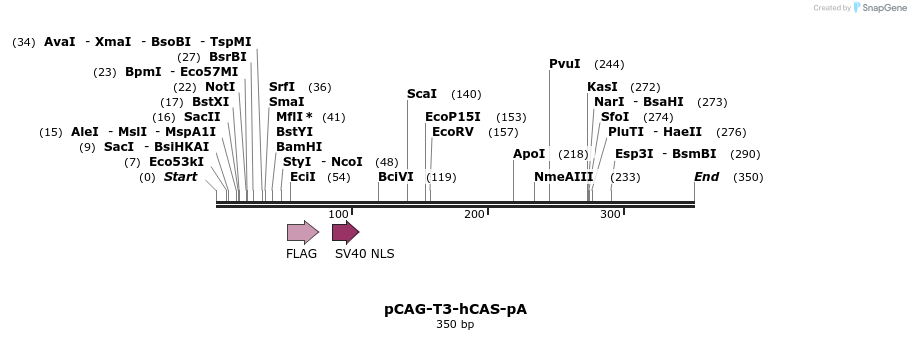 117085_map