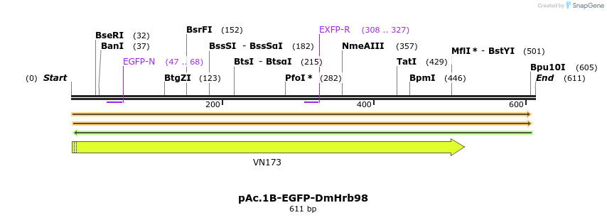 117090_map