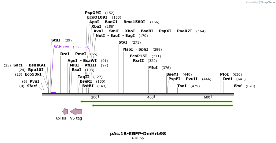 117092_map