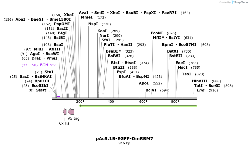 117094_map