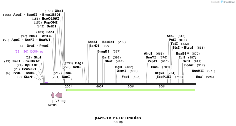 117096_map