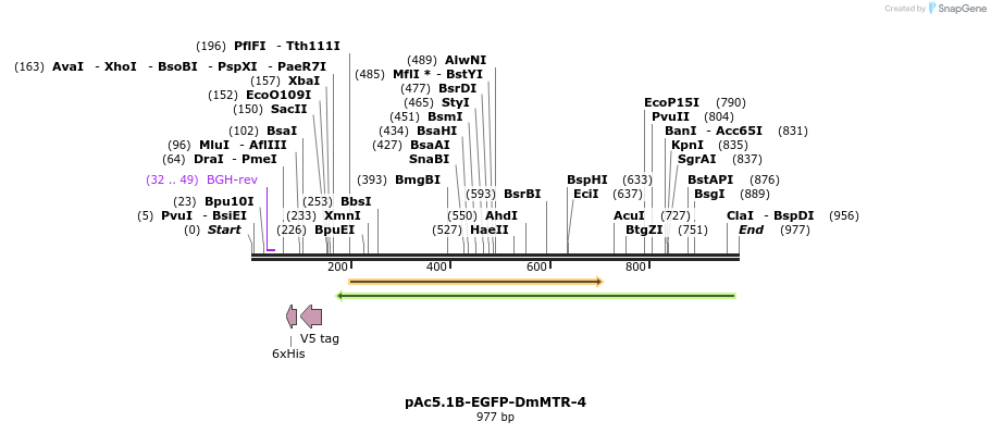 117097_map