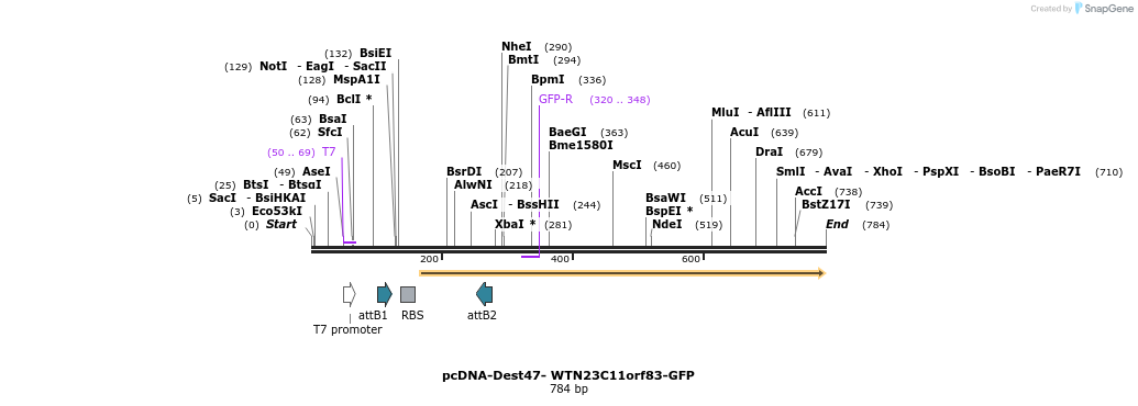 117099_map