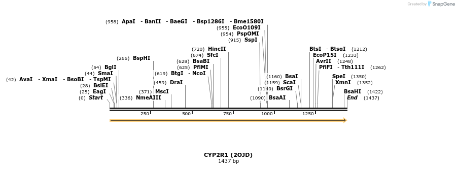 11710_map