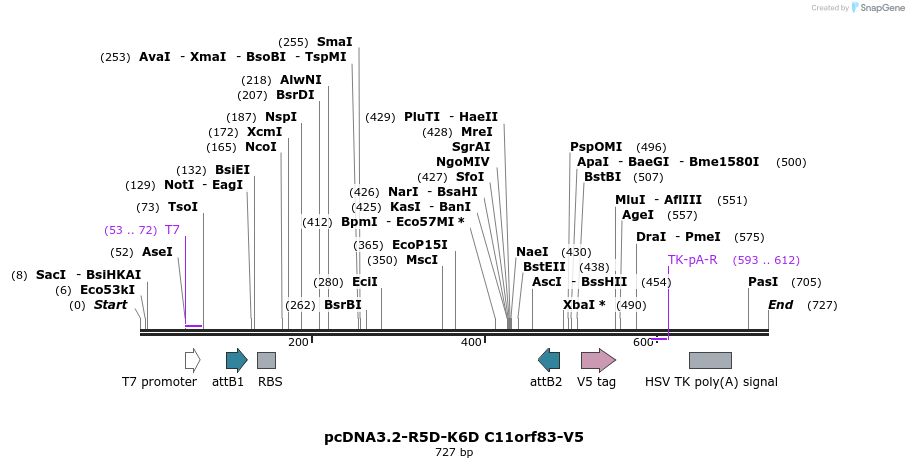 117105_map