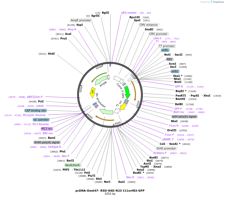117111_map