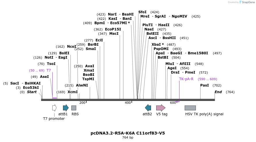 117112_map