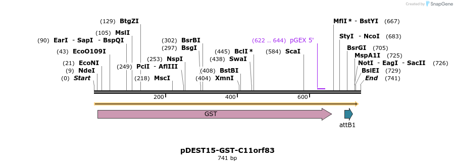 117116_map