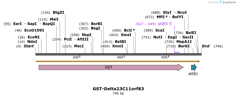 117117_map