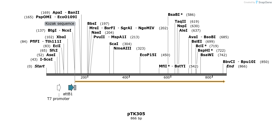 117123_map