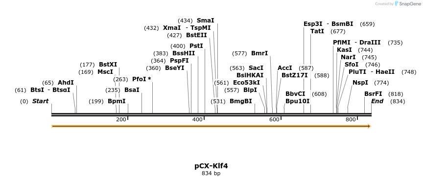 117125_map