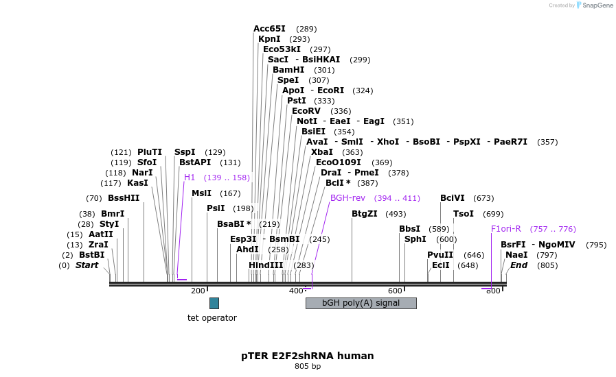117126_map