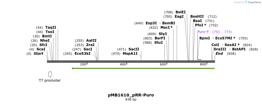117128_map