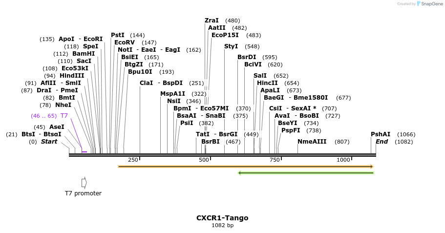 117129_map
