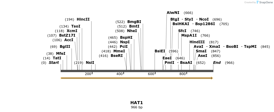 11713_map
