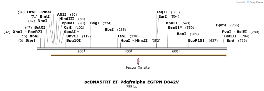 117131_map