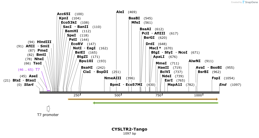 117132_map
