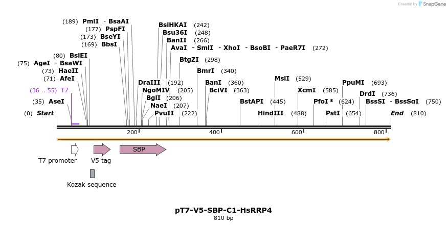 117133_map