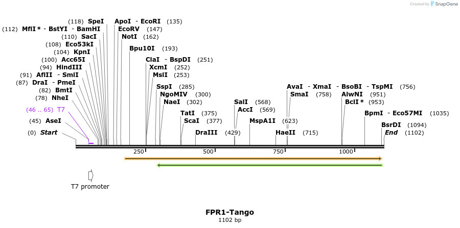 117138_map