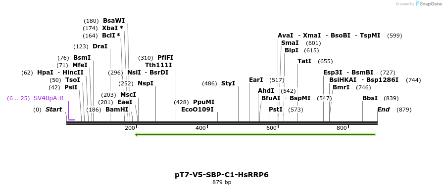 117139_map