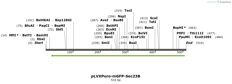 117141_map