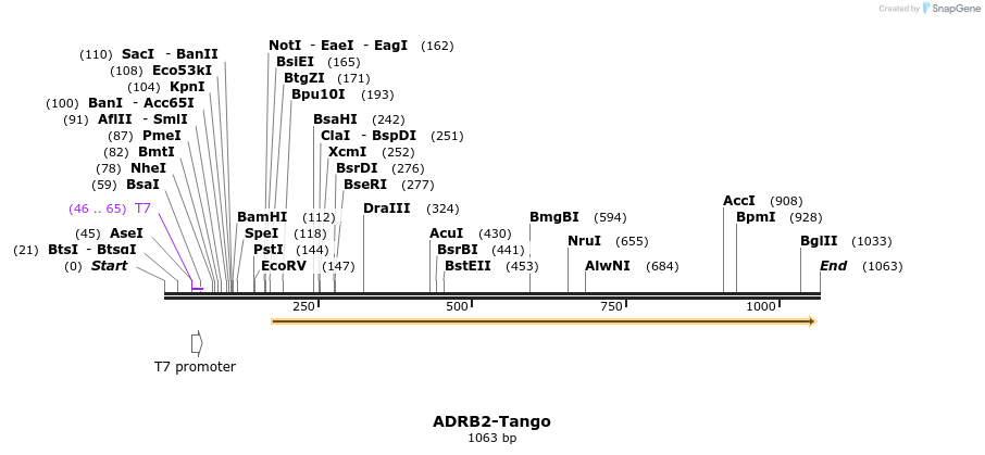 117149_map