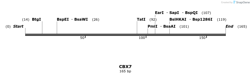 11715_map