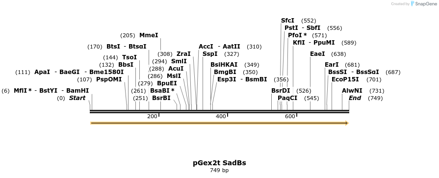 117153_map