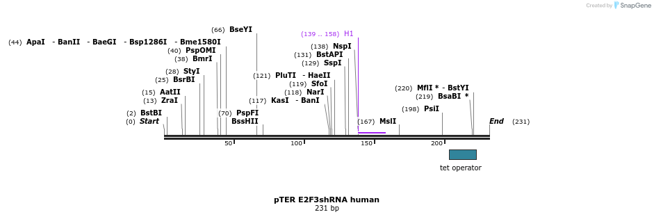 117154_map