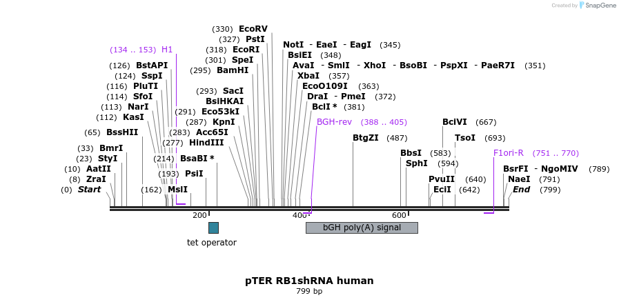 117155_map