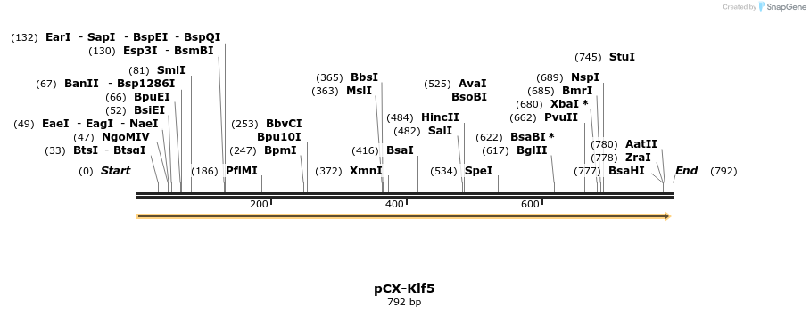 117158_map