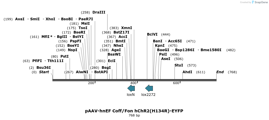117159_map