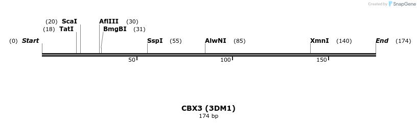 11716_map