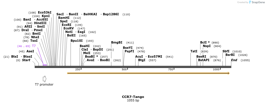 117162_map