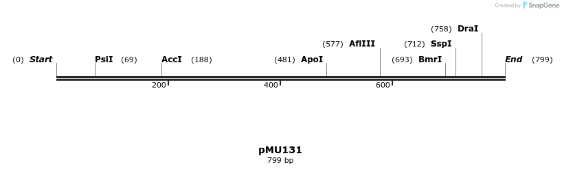 117166_map