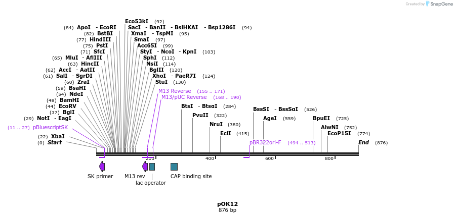 117167_map