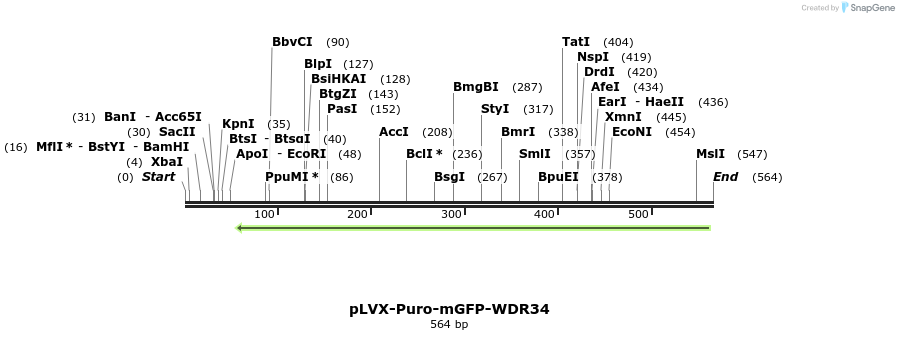 117174_map
