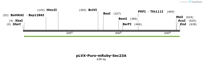 117177_map