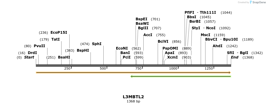 11718_map