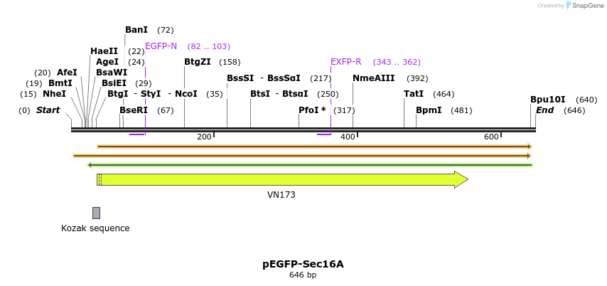117180_map