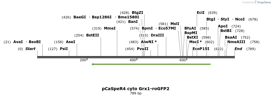 117186_map