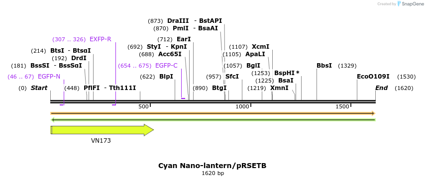 117190_map